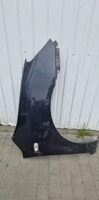 KIA Carens II Fender