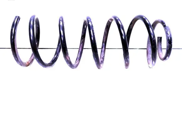 Rear coil spring