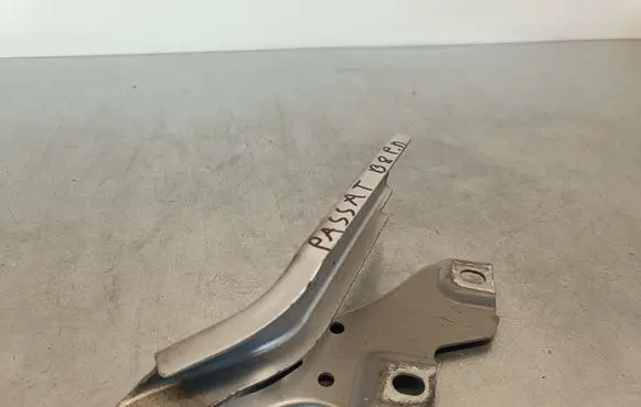 Volkswagen PASSAT B8 Engine bonnet/hood hinges 1L87 308838098