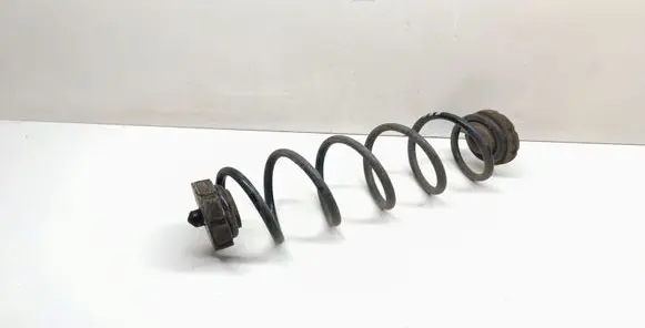 Rear coil spring