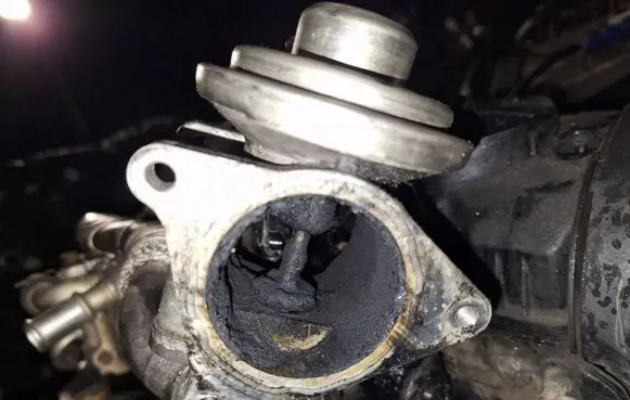 EGR valve