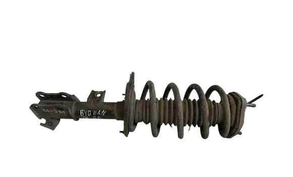 BYD Han Rear shock absorber with coil spring 602400023838 R56KHCEM