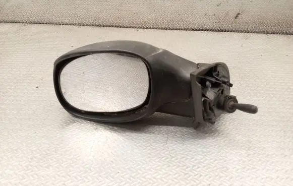 Citroen C3 Manual wing mirror E2011019
