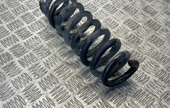 Rear coil spring