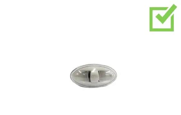 Peugeot 1007 Front fender indicator light 9680057480