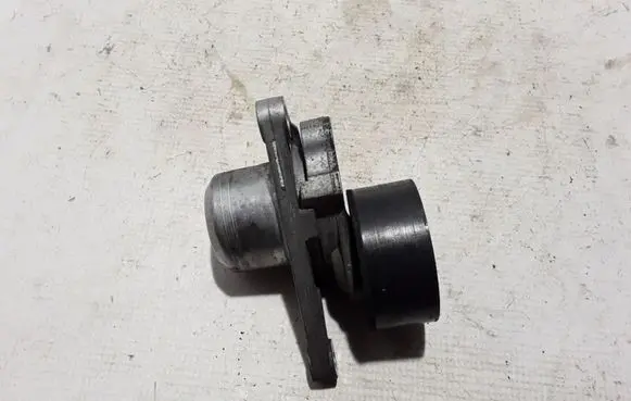 Renault Master III Timing belt/chain tensioner 117507568R