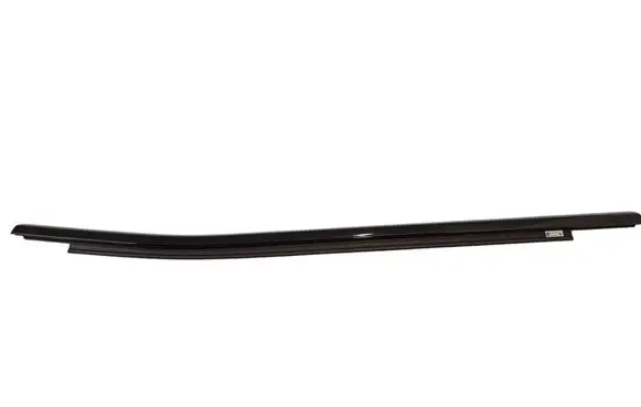 Rear door glass trim molding