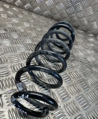 Rear coil spring