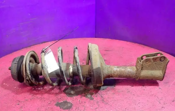 Renault Clio III Front shock absorber with coil spring
