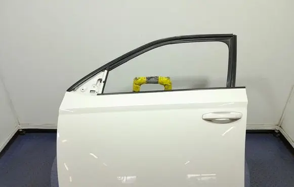 Skoda Fabia Mk3 (NJ) Front door 