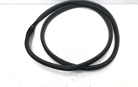 Renault Scenic E-Tech V Rear door rubber seal (on body) 