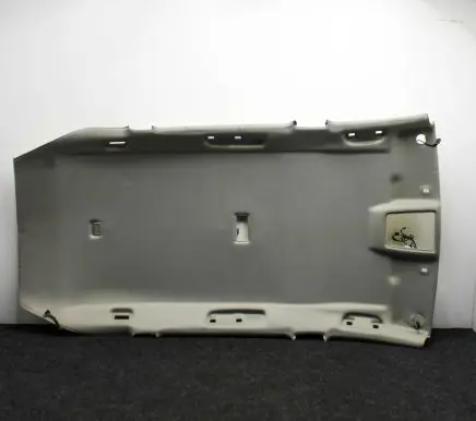 Opel Insignia A Headlining 22909514