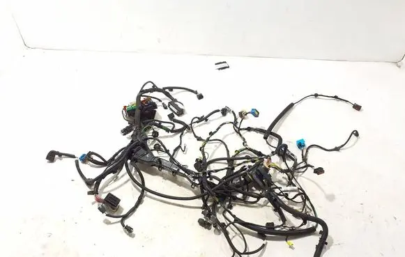 Peugeot 208 II Other wiring loom 9841525880