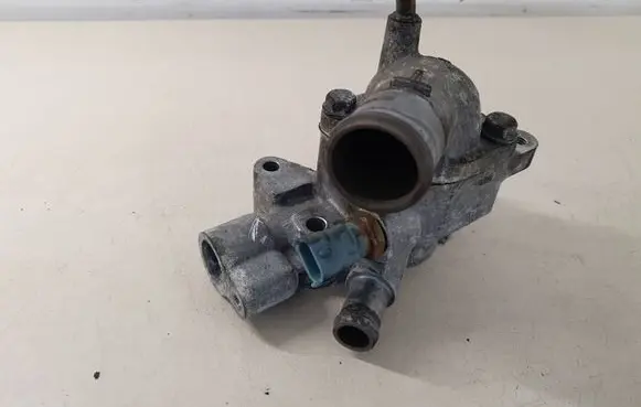 Thermostat/thermostat housing