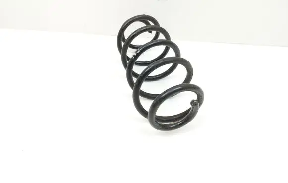 Rear coil spring