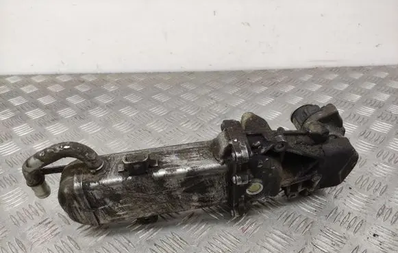 Skoda Yeti (5L) EGR valve 0280751016