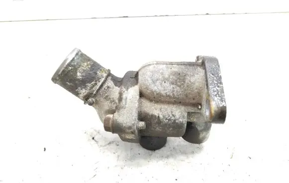 Thermostat/thermostat housing
