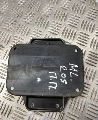 Front door airbag