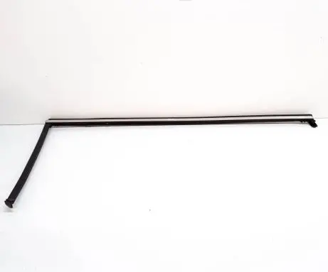 Volkswagen Tiguan Rear door glass trim molding