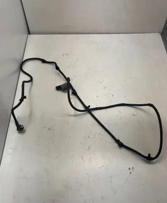 Other wiring loom