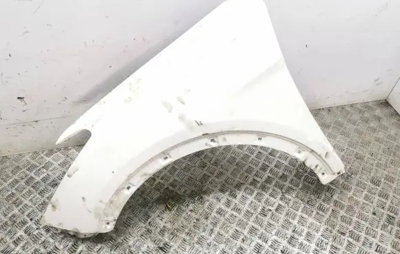 Hyundai Santa Fe Fender