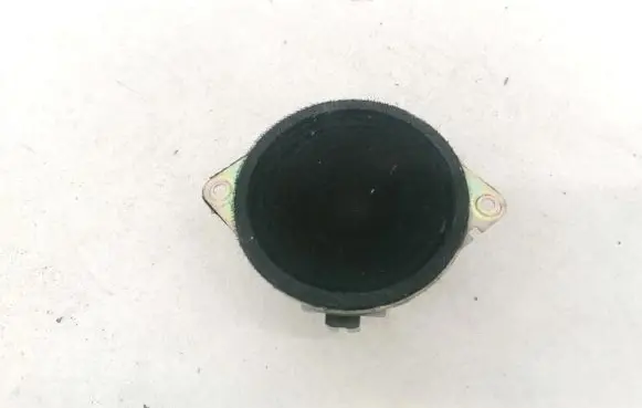 Chrysler 300 - 300C Front door speaker