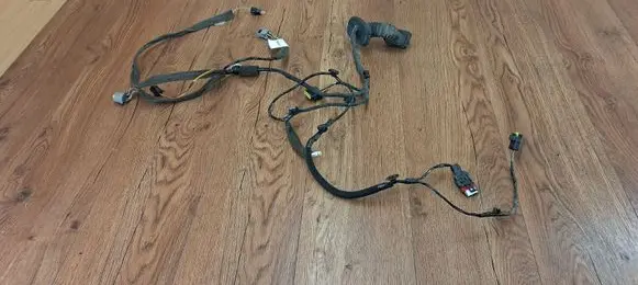 Renault Espace - Grand espace IV Front door wiring loom 8200778783