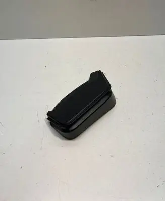Rear/tail light trim molding