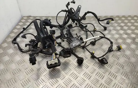 BMW X1 F48 F49 Engine installation wiring loom 8605964 8672125