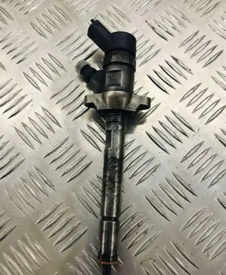 Peugeot Expert Fuel injector 0445110239