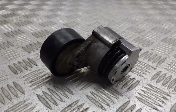 Dacia Sandero II Alternator belt tensioner pulley 117503662R