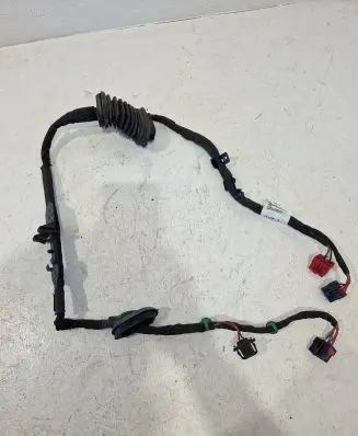Volkswagen Phaeton Other wiring loom 3D0971694CL