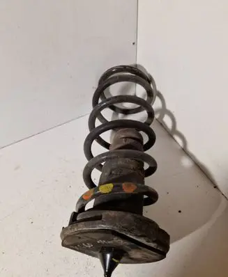 Rear coil spring