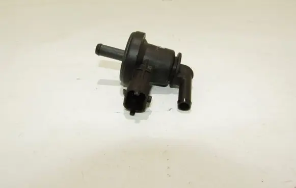 KIA Venga Vacuum valve 290102B000