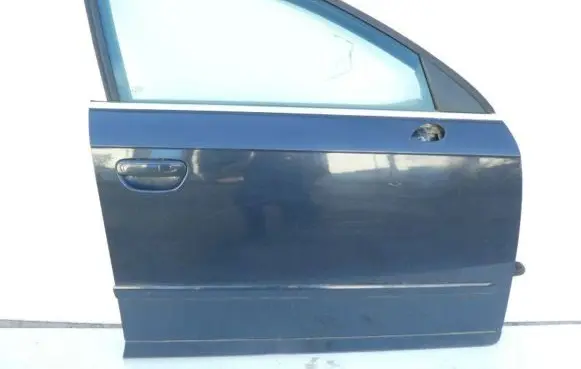 Seat Exeo (3R) Front door
