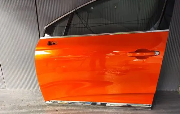 Renault Clio V Front door CLIOVDRZWILEWE