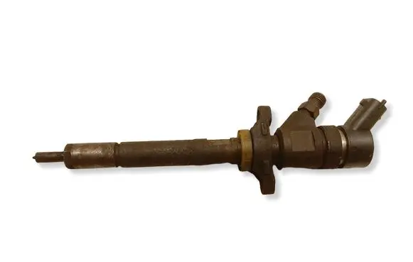 Citroen C4 I Picasso Fuel injector 044511020