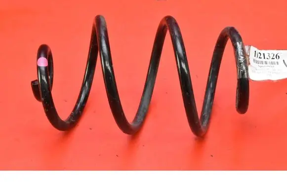Rear coil spring