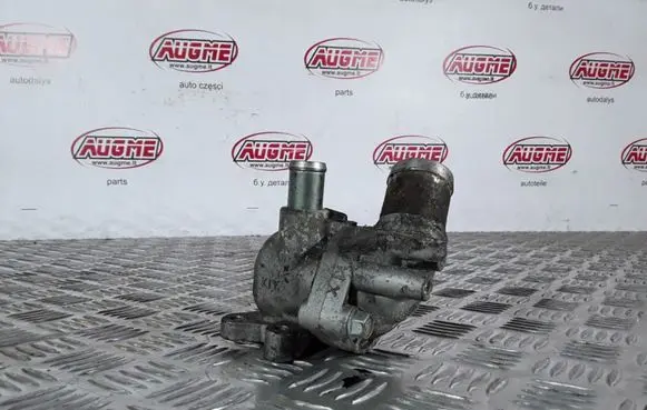 Thermostat/thermostat housing