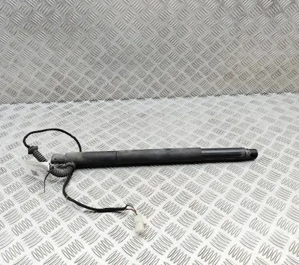 BMW X6 E71 Tailgate/trunk strut/damper 7286118