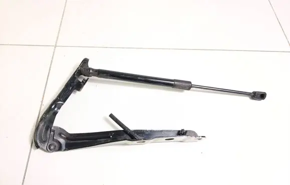 Citroen DS5 Engine bonnet/hood hinges 9803222580 9686809680