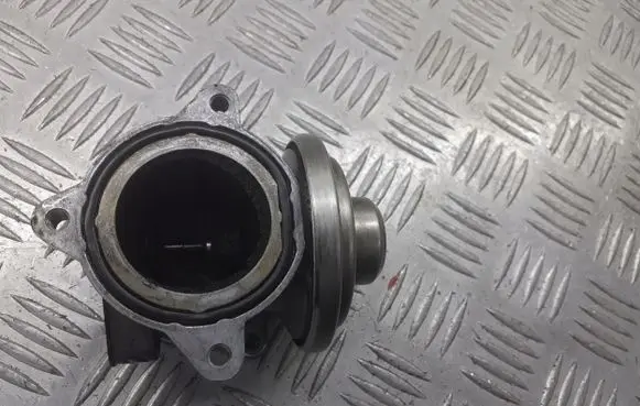 Volkswagen Polo IV 9N3 EGR valve 045131501F