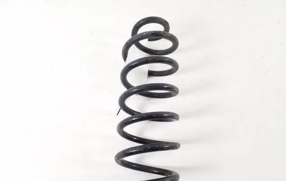 Renault Kadjar Rear coil spring 550204EA0B