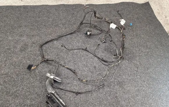 BMW 6 F12 F13 Front door wiring loom 9259834