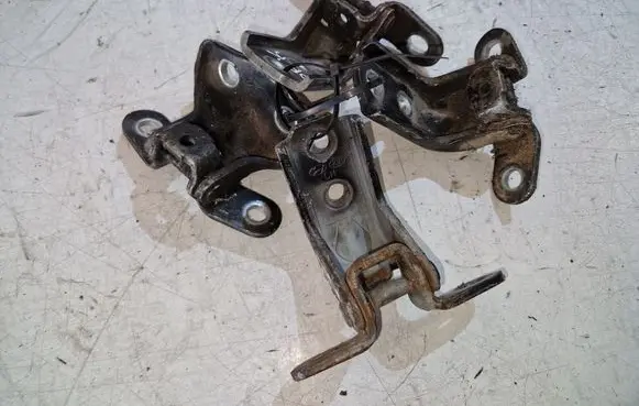 Hyundai Santa Fe Front door upper hinge 