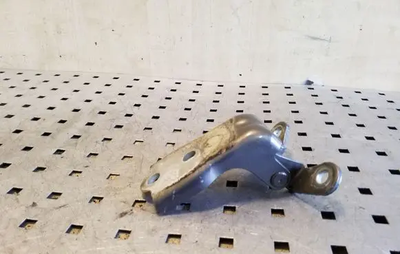 Opel Antara Front door lower hinge 