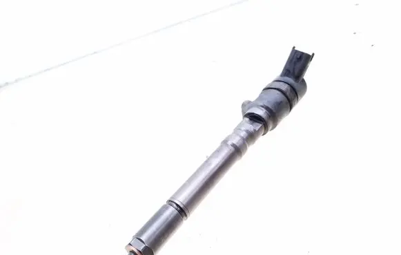Hyundai Santa Fe Fuel injector 0445110064 3380027010