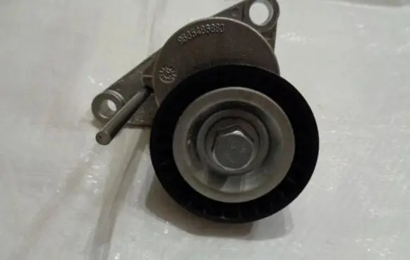Citroen C3 Timing belt tensioner 1611425280
