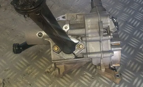 Porsche Cayenne (9PA) Oil pump 94810701301