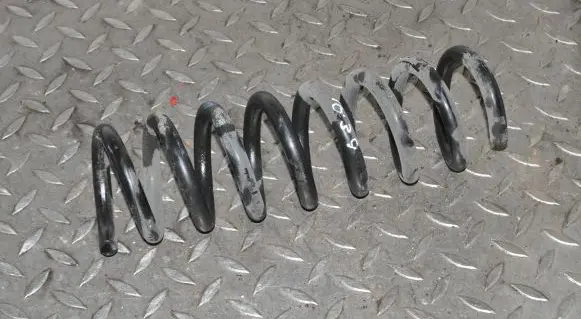 Rear coil spring